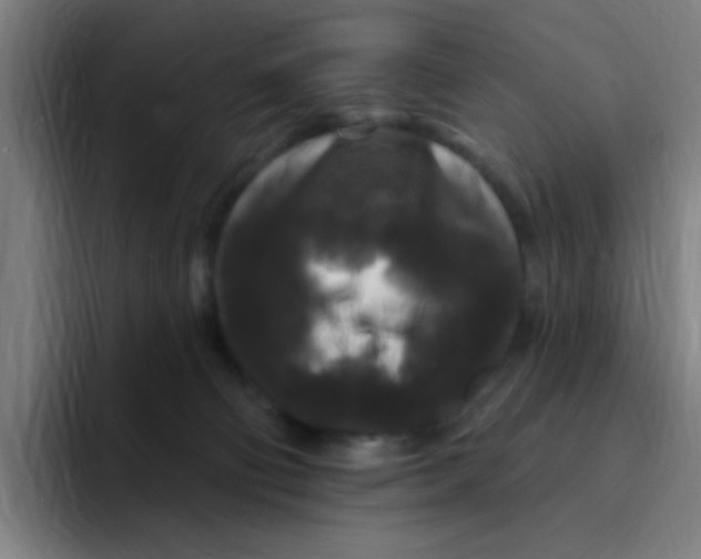 X0000094940130200712271620