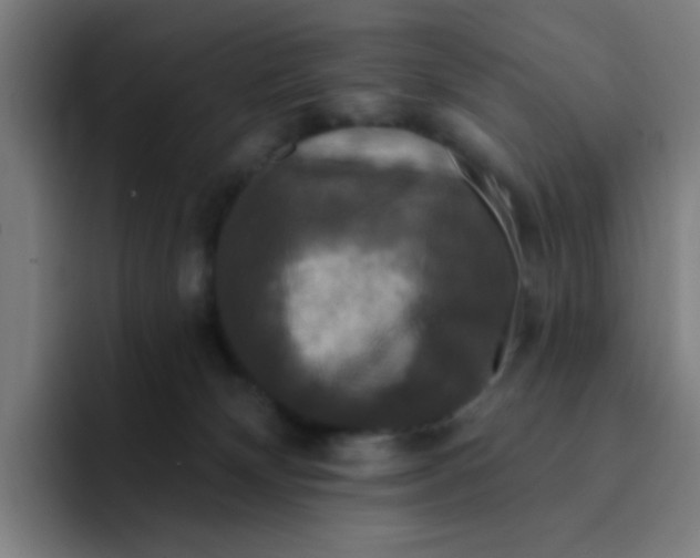 X0000094940132200712271620