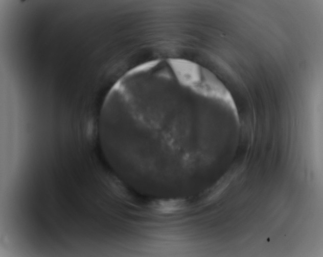 X0000094940134200712271620