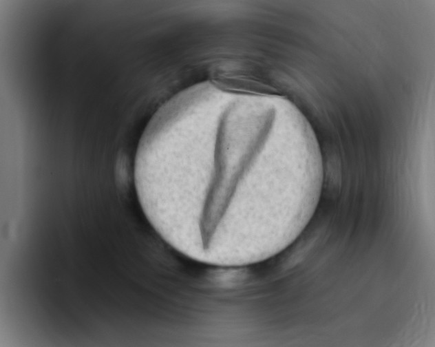 X0000094940135200712271620