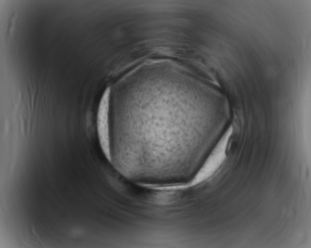 X0000094940136200712271620