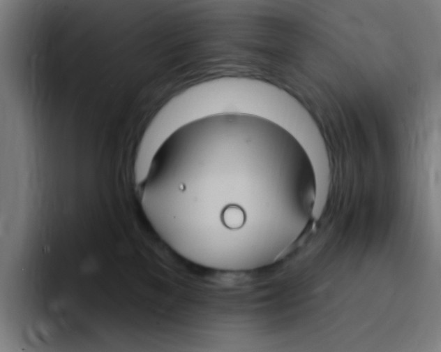 X0000094940137200712271620