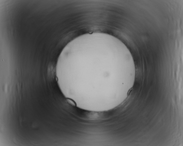X0000094940142200712271620