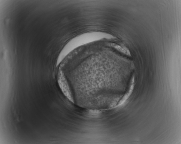 X0000094940144200712271620