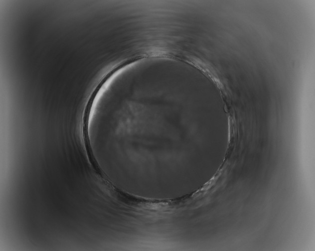 X0000094940147200712271620