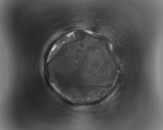 X0000094940149200712271620