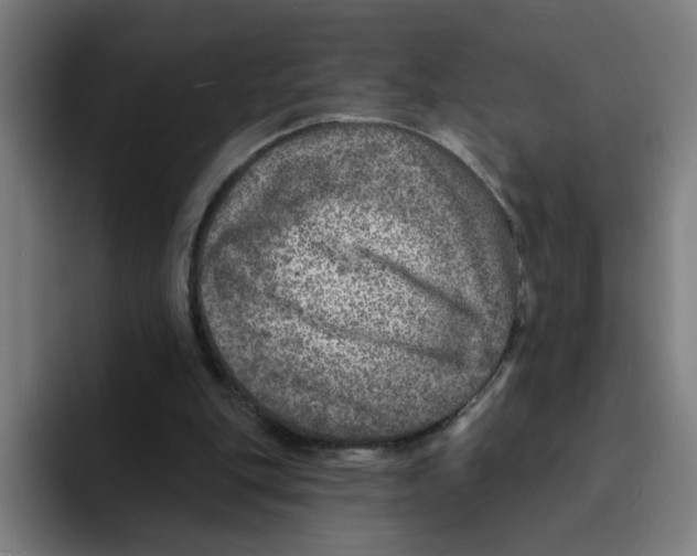 X0000094940151200712271620