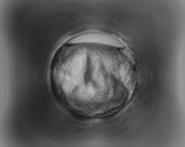 X0000094940152200712271620