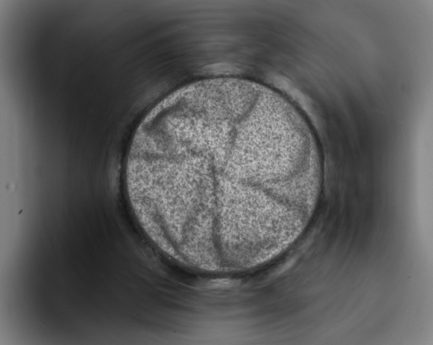 X0000094940153200712271620