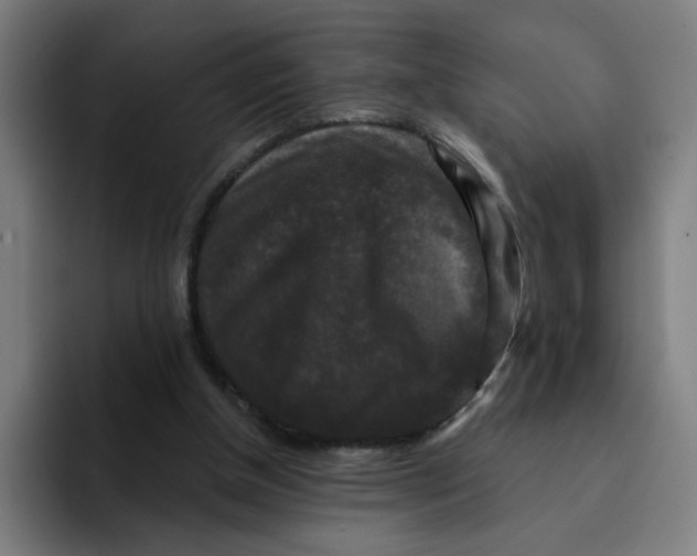 X0000094940154200712271620