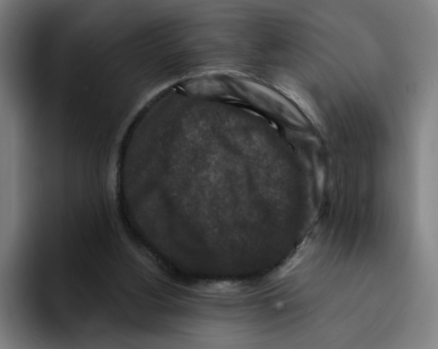 X0000094940156200712271620