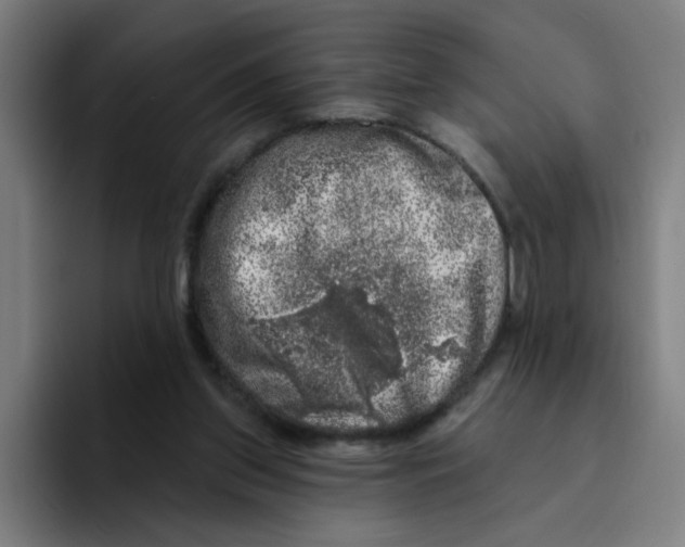 X0000094940157200712271620