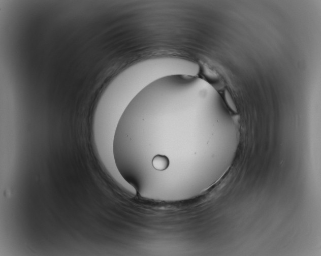 X0000094940158200712271620