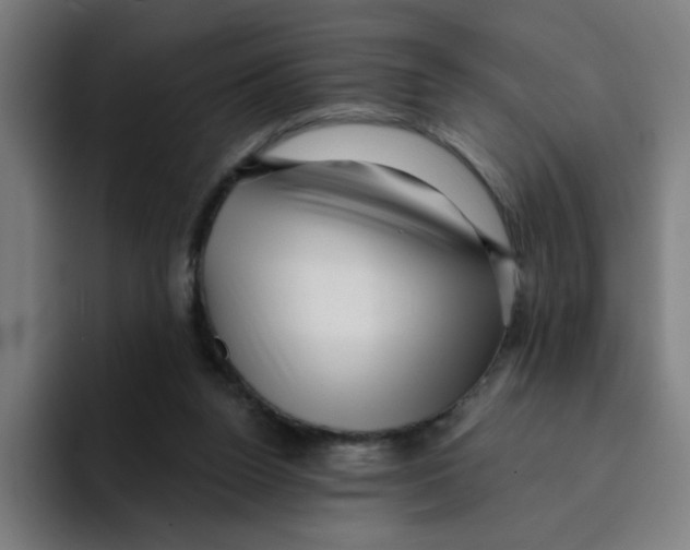 X0000094940160200712271620