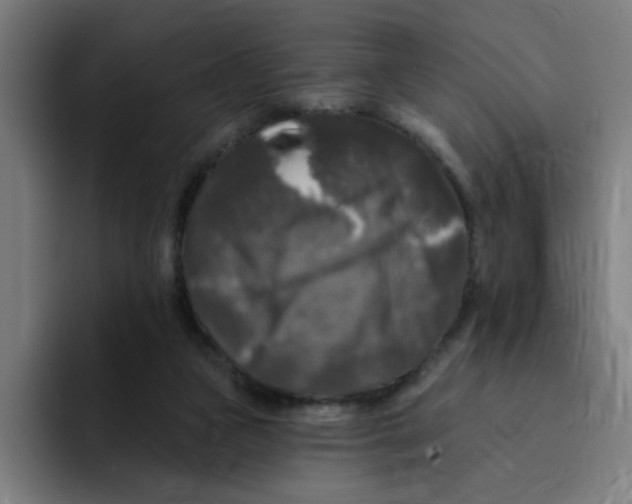 X0000094940161200712271620