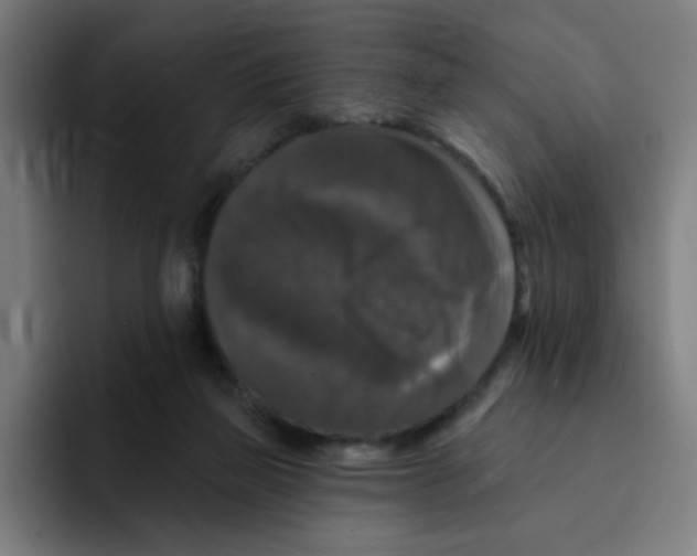 X0000094940165200712271620