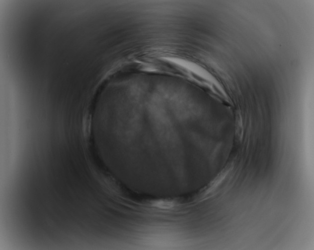 X0000094940168200712271620