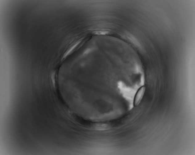 X0000094940169200712271620