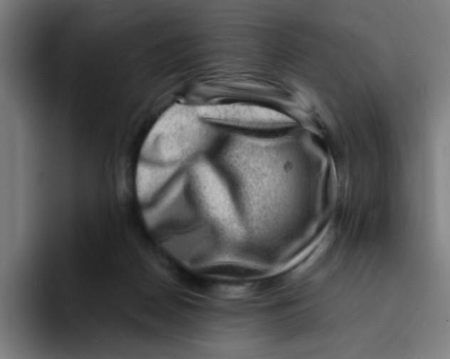 X0000094940170200712271620