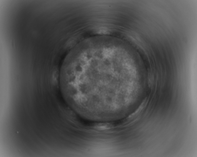 X0000094940175200712271620