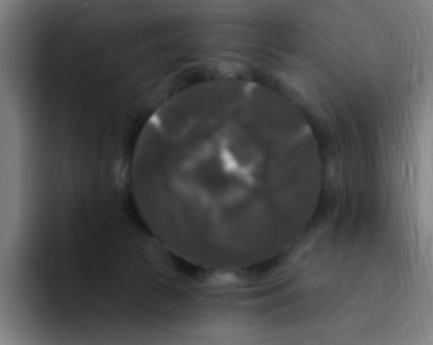 X0000094940177200712271620