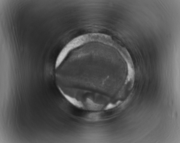 X0000094940178200712271620