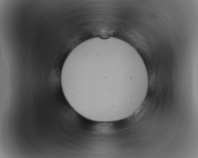 X0000094940179200712271620