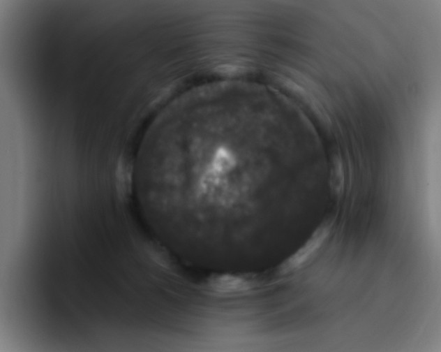 X0000094940180200712271620