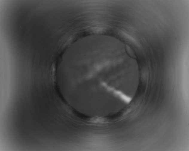 X0000094940181200712271620