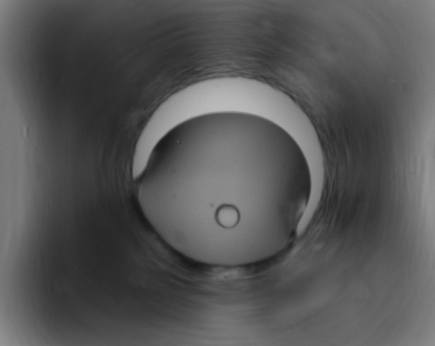 X0000094940185200712271620
