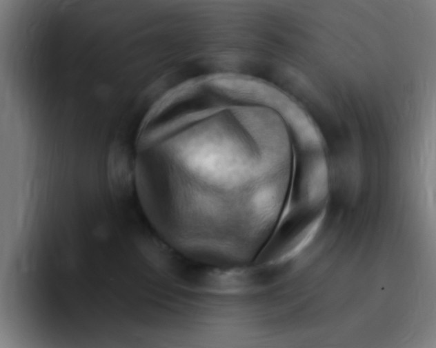 X0000094940186200712271620
