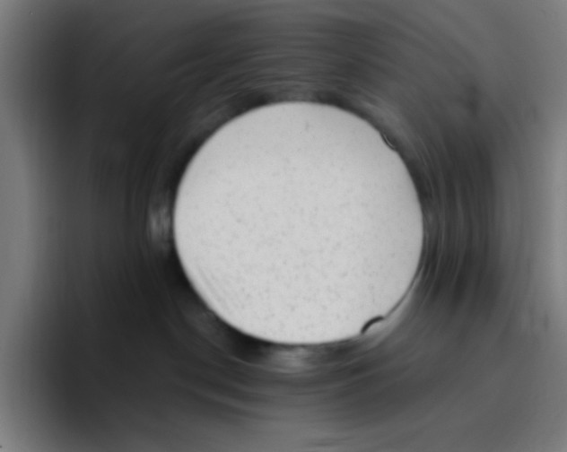 X0000094940190200712271620