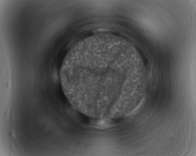 X0000094940191200712271620