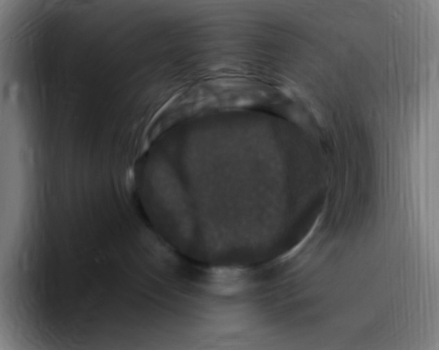 X0000094940192200712271620