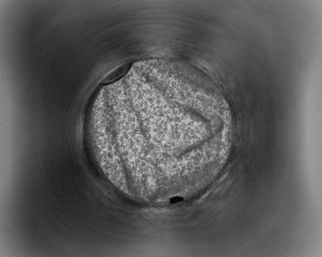 X0000094940194200712271620