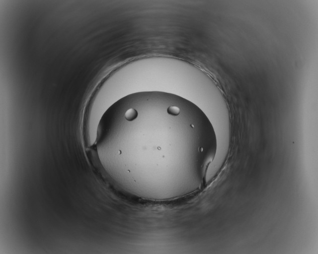 X0000094940195200712271620