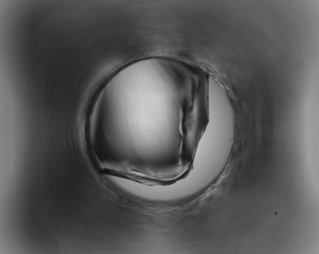 X0000094940197200712271620