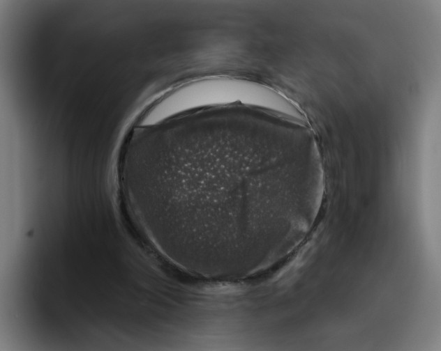 X0000094940198200712271620