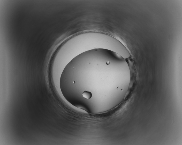 X0000094940199200712271619
