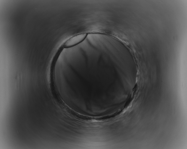 X0000094940200200712271619