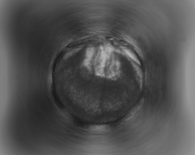 X0000094940202200712271619