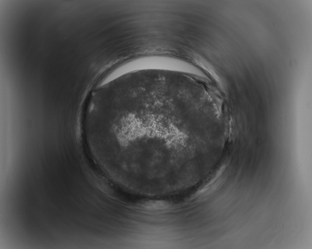 X0000094940203200712271619