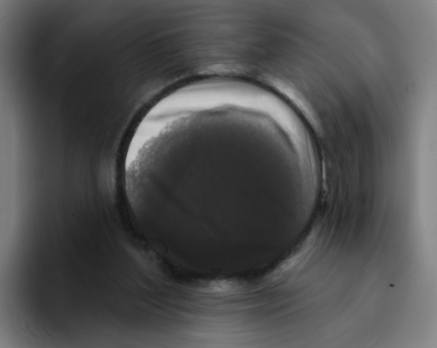 X0000094940204200712271619