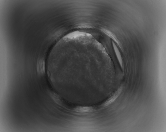 X0000094940205200712271619