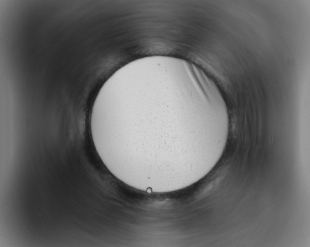 X0000094940206200712271619