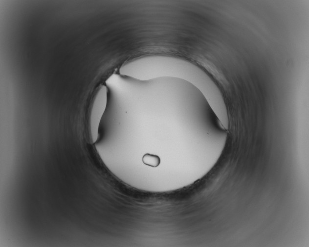 X0000094940207200712271619