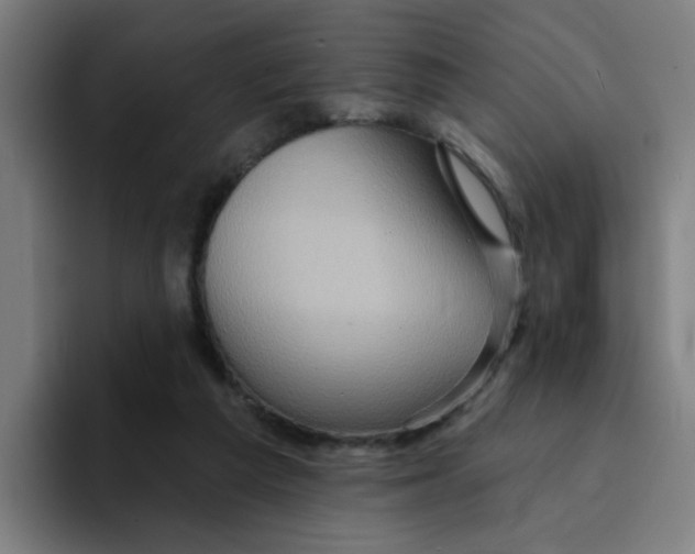 X0000094940209200712271619