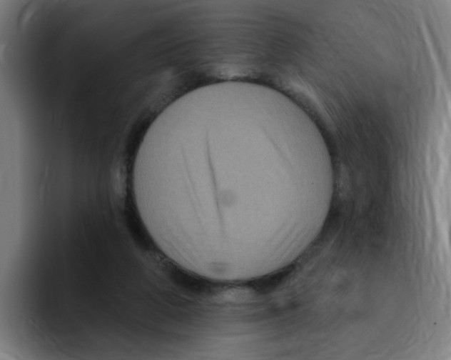 X0000094940210200712271619