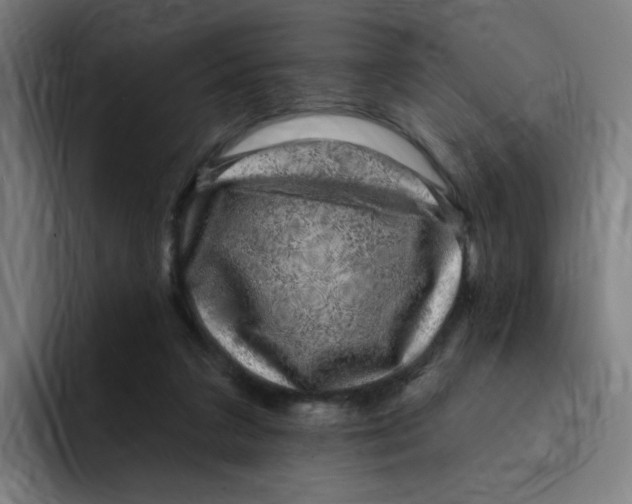 X0000094940211200712271619