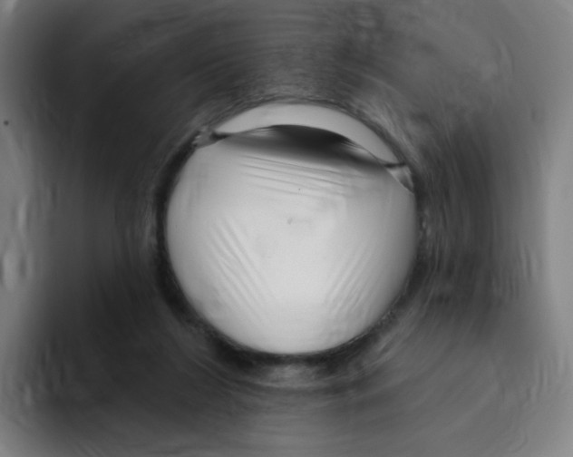 X0000094940212200712271619